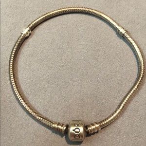 Pandora Charm Bracelet